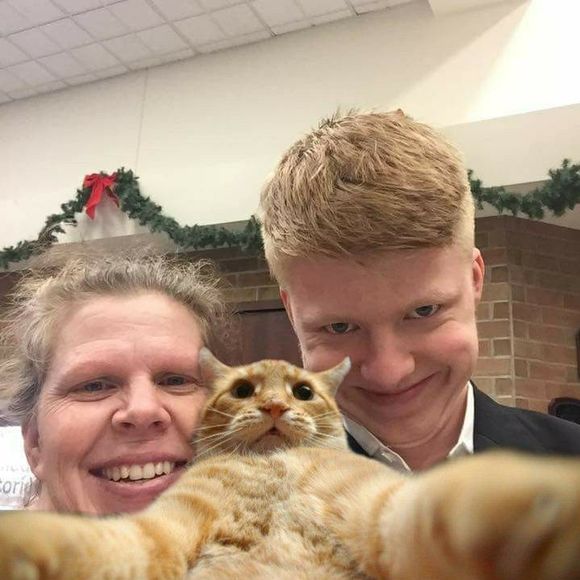 Meet your Posher, Renea - Picture 1 of 1